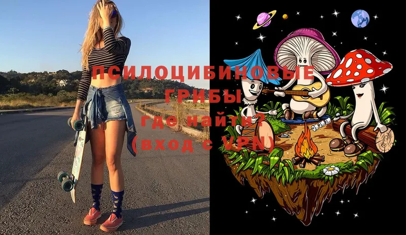 Псилоцибиновые грибы Psilocybine cubensis  сколько стоит  omg как зайти  Волгореченск 